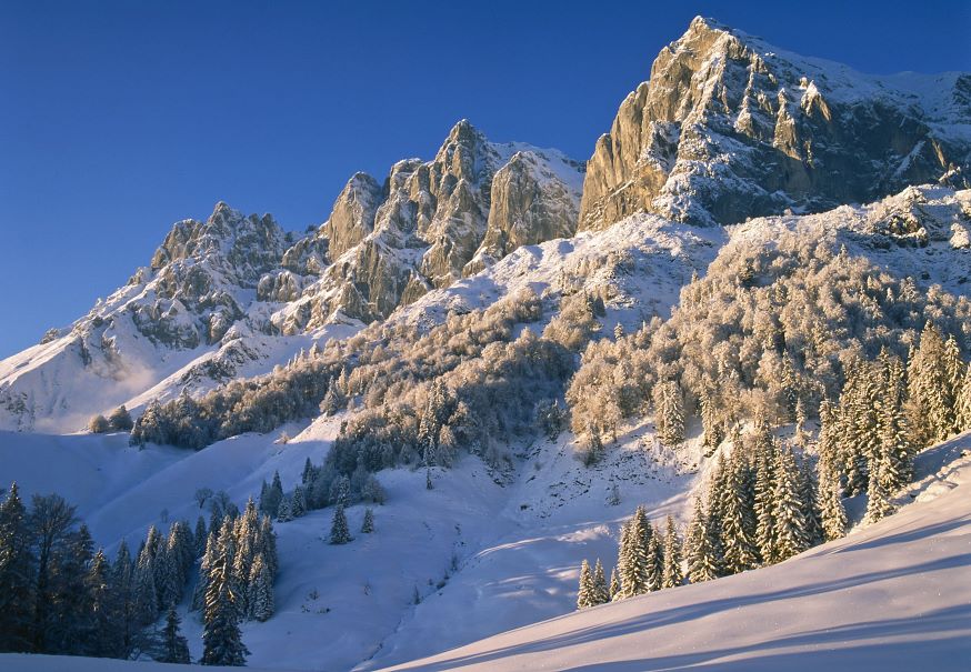 Skiurlaub Wilder Kaiser