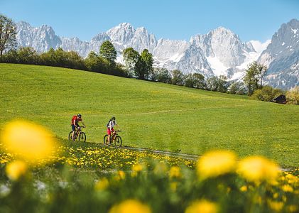 Spring-Mountainbike-1