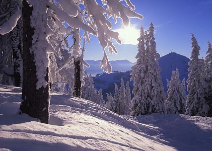 Übernachtung Wilder Kaiser